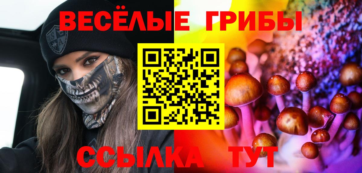 Галлюциногенные грибы GOLDEN TEACHER Богородск
