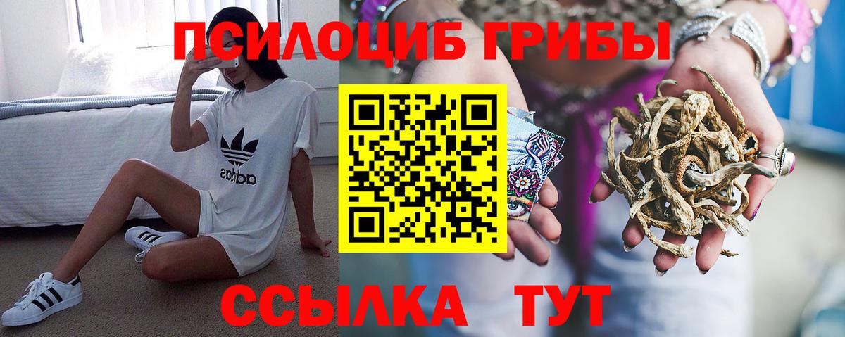 Богородск  Псилоцибиновые грибы Psilocybine cubensis  Вход с VPN 